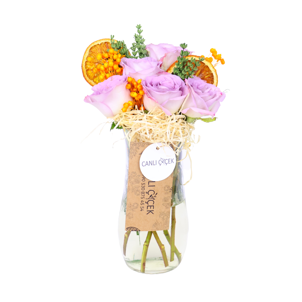 Dream Flowers Canlı Çiçek